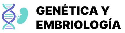 Genética