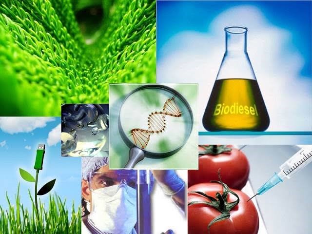 Bioquímica