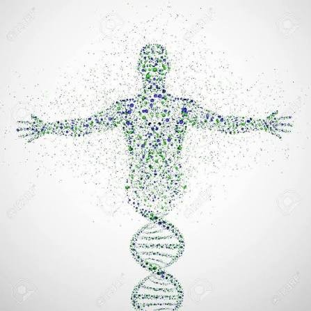 Biofísica