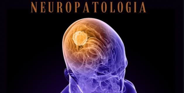 Neuropatología
