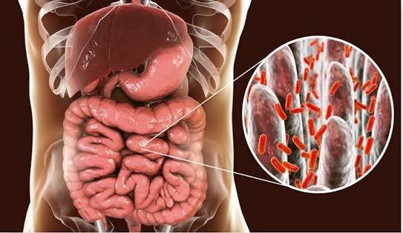 Microbiología